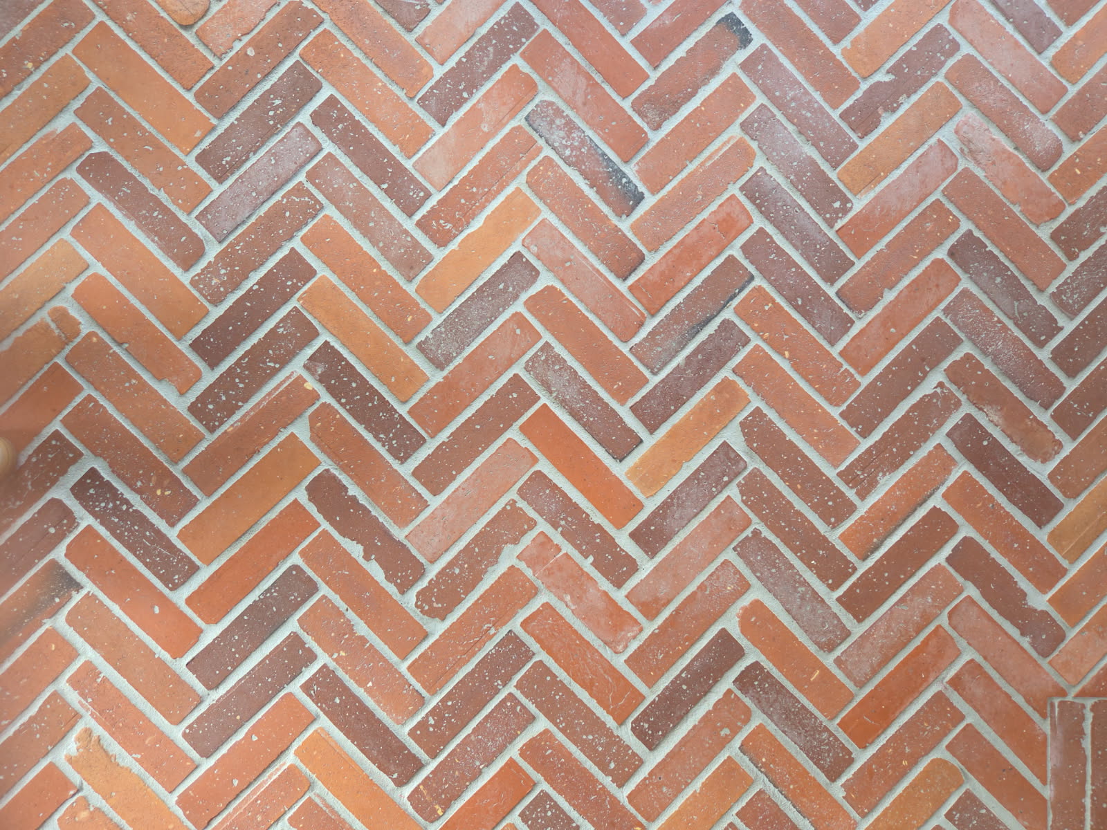 image000005